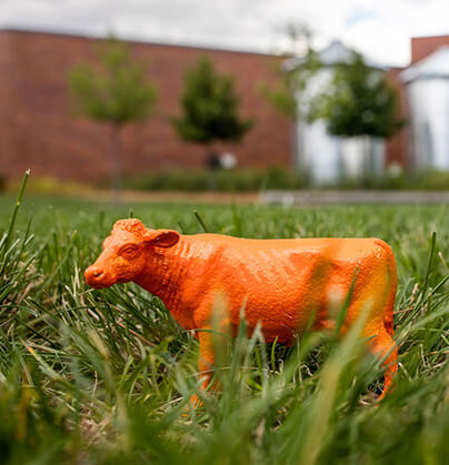 Land O'Lakes Cow